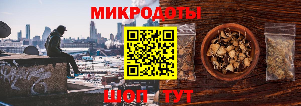 Тавда  Псилоцибиновые грибы Cubensis  Вход с VPN 