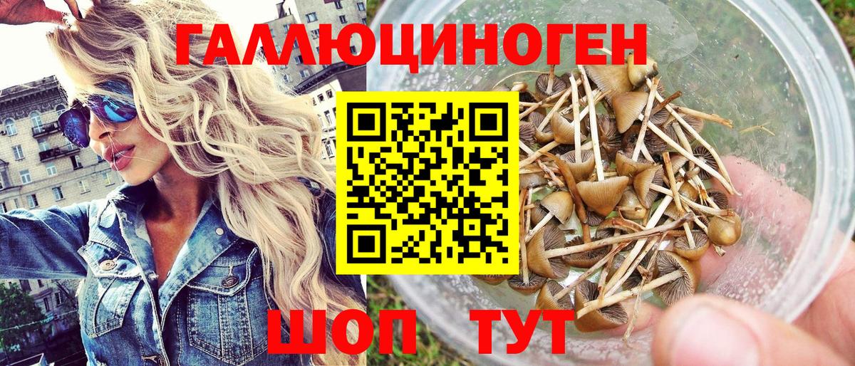 Галлюциногенные грибы ЛСД Тавда